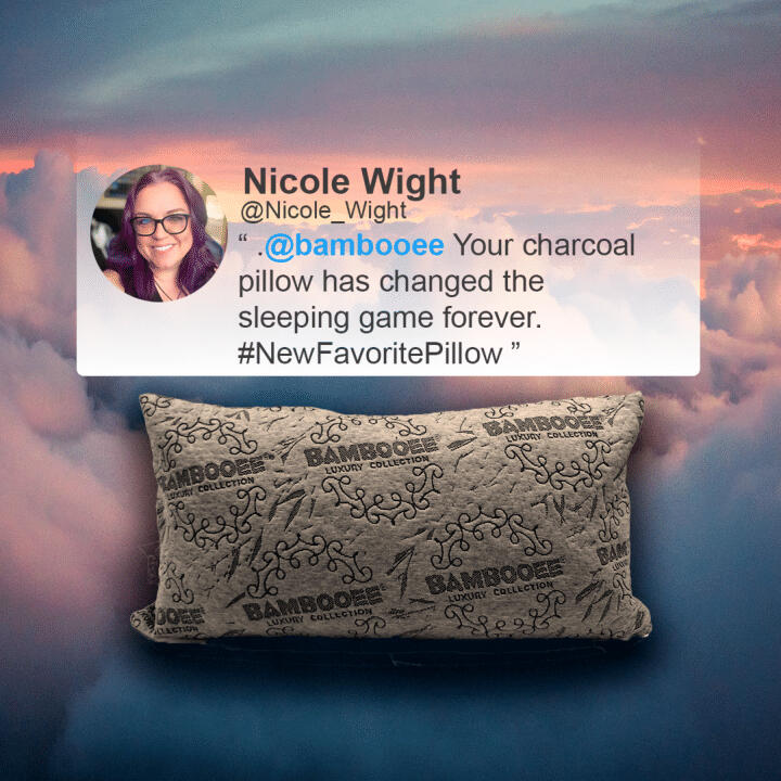 Bambooee Project - Social media ad mock-up (owned media example)